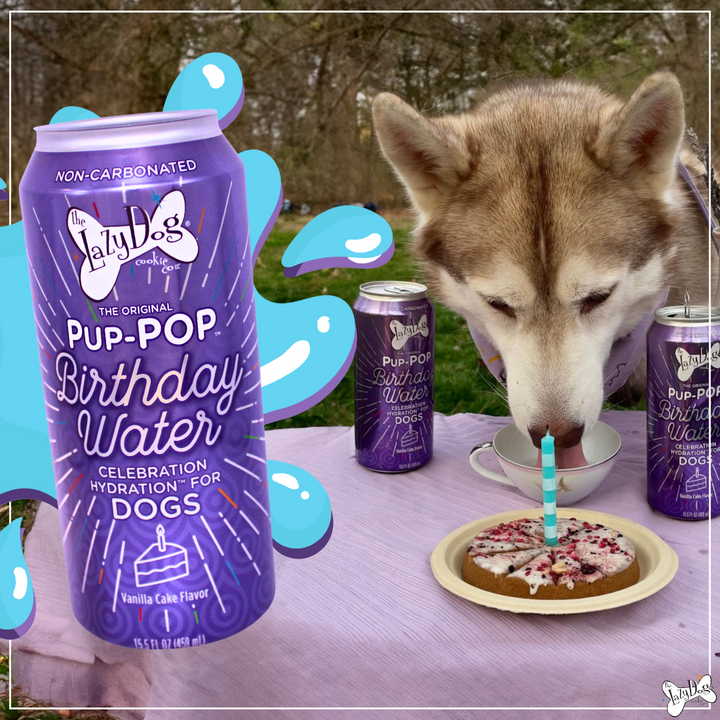Celebrating Our Furry Friends with Pup-POP™️: The Ultimate Celebration Hydration™️ for Dogs