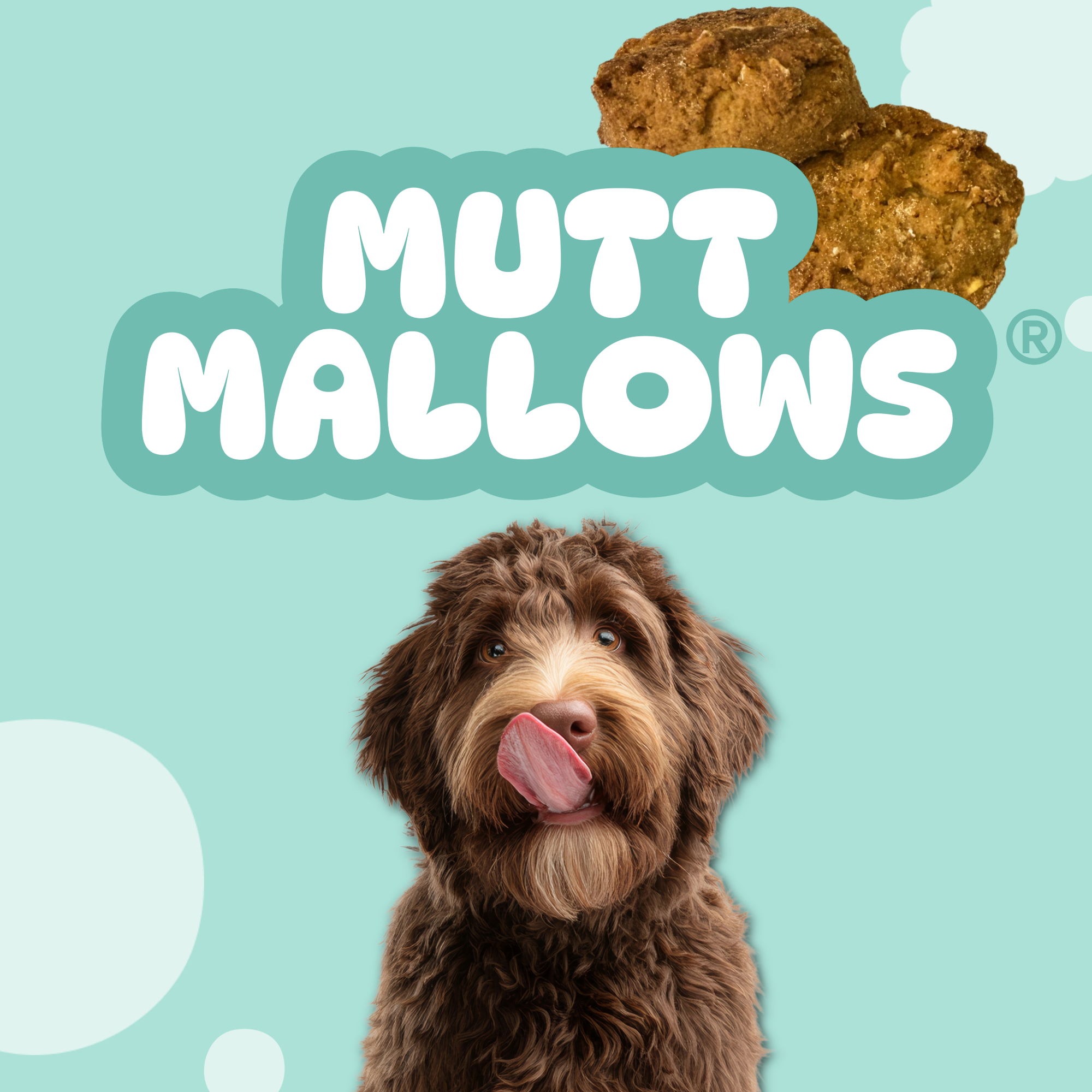 Mutt Mallows® – The Lazy Dog Cookie Co
