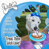 The Original Pup-PIE® Happy Birthday for a Charming Boy - Pie Shaped Treat for Dogs!