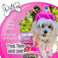 The Original Pup-PIE® Happy Birthday for a Darling Girl - Pie Shaped Treat for Dogs!