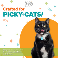 ✨Presale Item!- Cool Cat Kitty™ Meow-velous Morsels™ Salmon Recipe