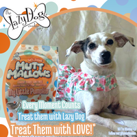 My Little Pumpkins - Mutt Mallows®️