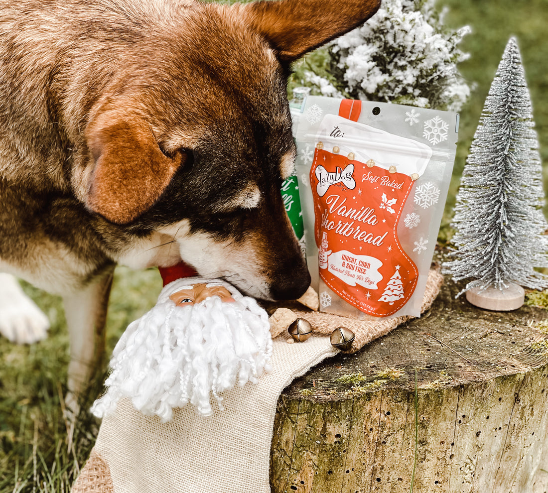 Vanilla Shortbread Stocking - Mutt Mallows®️