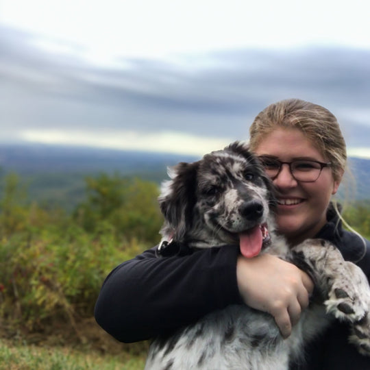 For the Love of Dogs: Celebrating National Dog Day