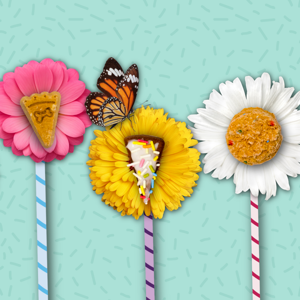 Spring Into Flavor! – The Lazy Dog Cookie Co