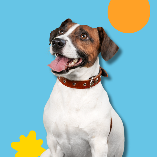 Giving Back Collection