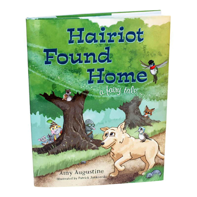 Hairiot Found Home