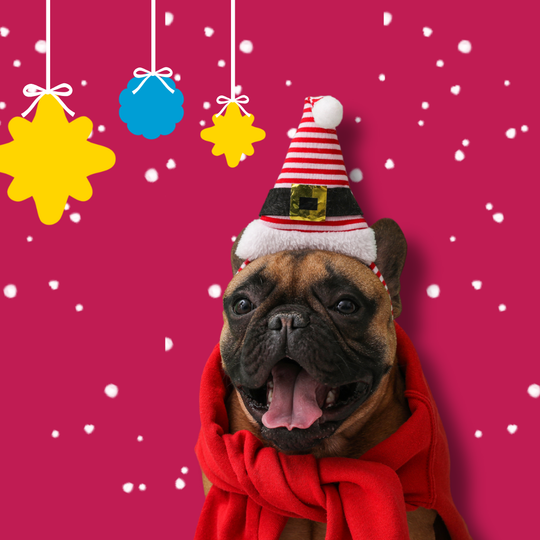 Holiday Treats Collection