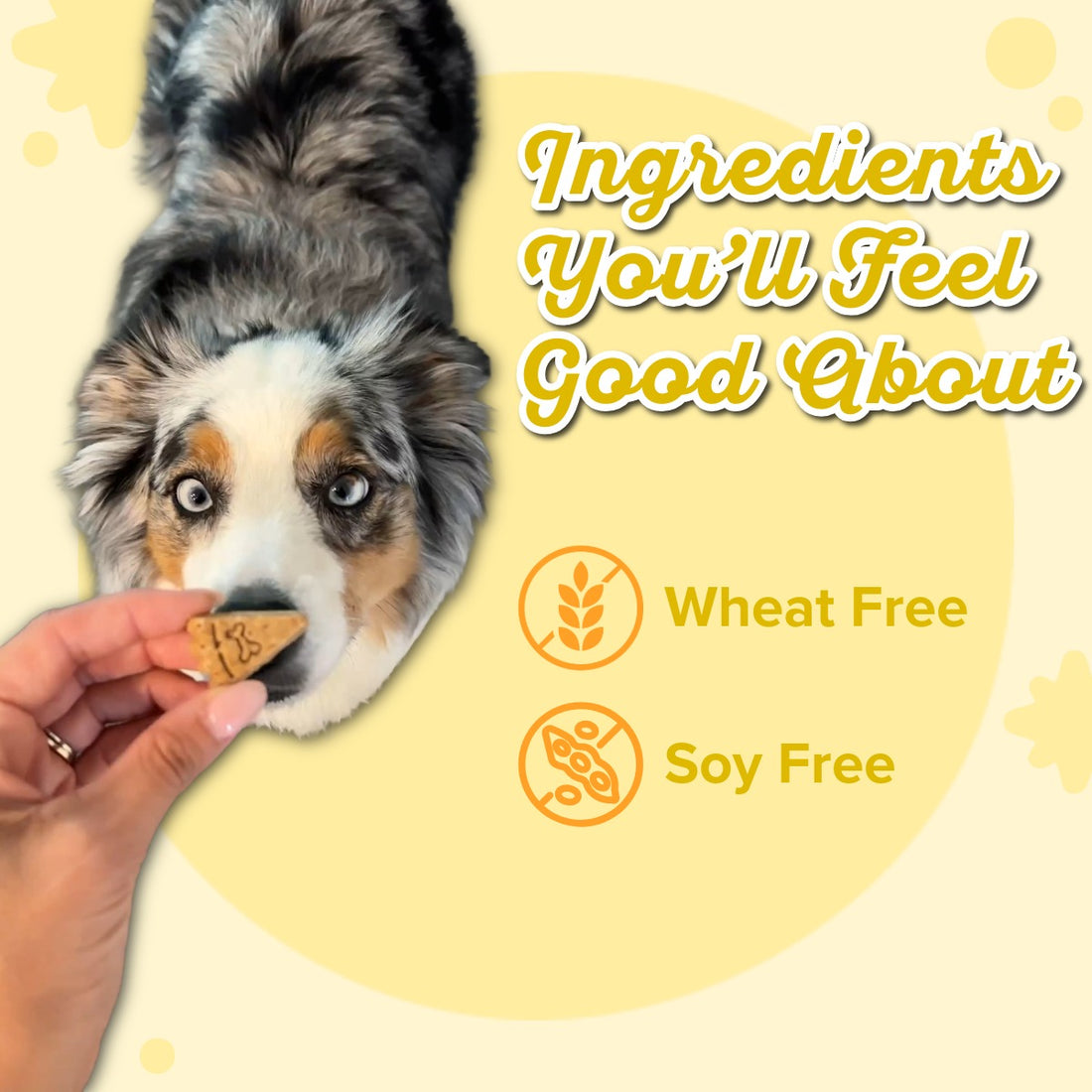 Apple Cheddar Slice Swirled with Maple Vanilla Scoop