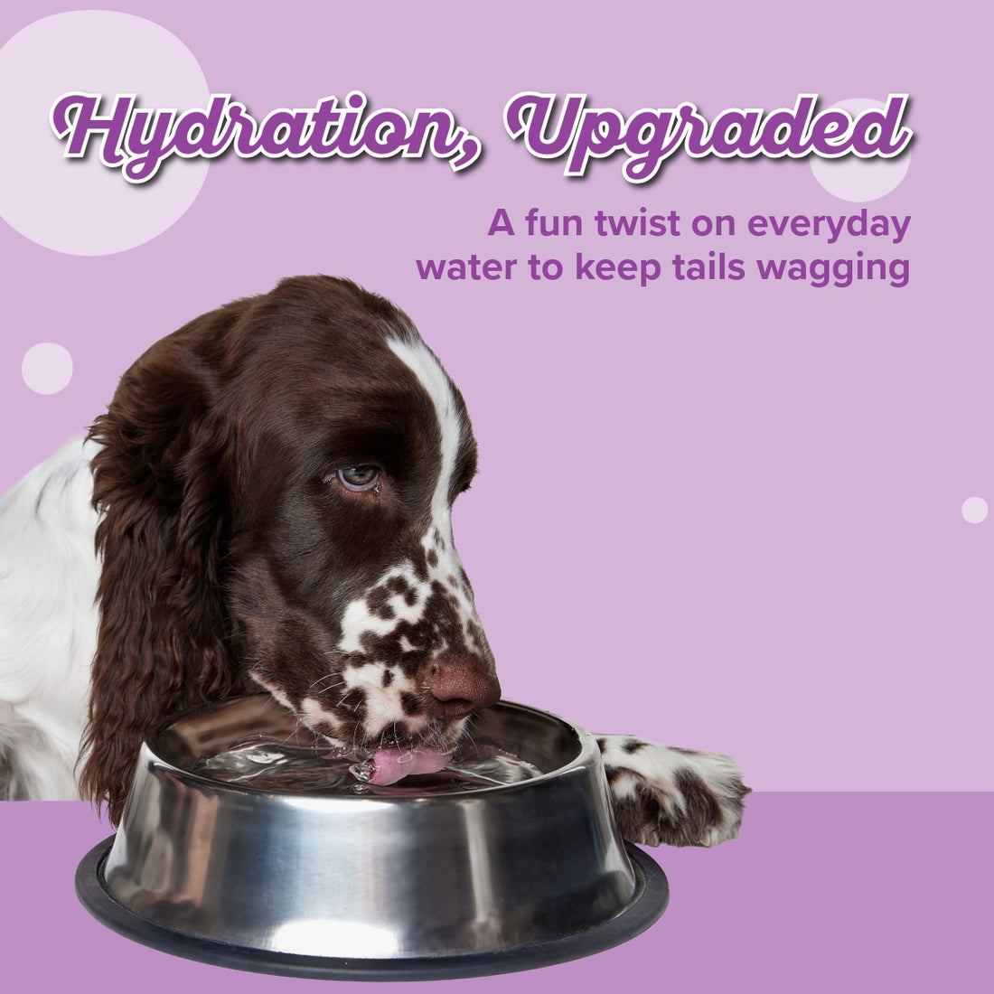 Pup-POP® Birthday Water Vanilla Cake Flavor