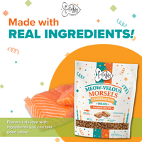 ✨Presale Item!- Cool Cat Kitty™ Meow-velous Morsels™ Salmon Recipe