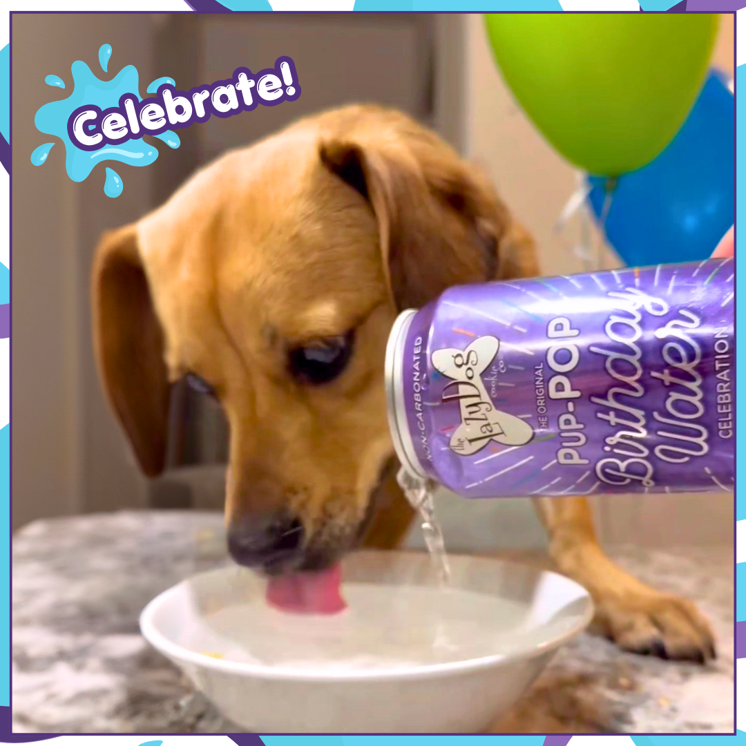 Your Dog My Puppy Wont Stop Drinking Water Pup-POP® Birthday Water