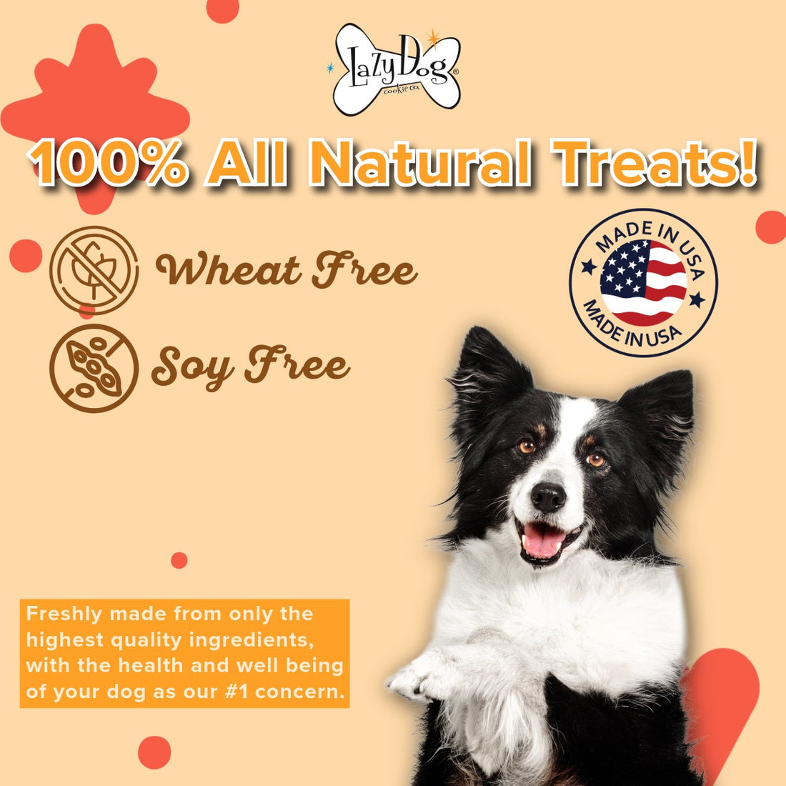 Mutt Mallows® Pumpkin Spice Latte (Limited Edition)