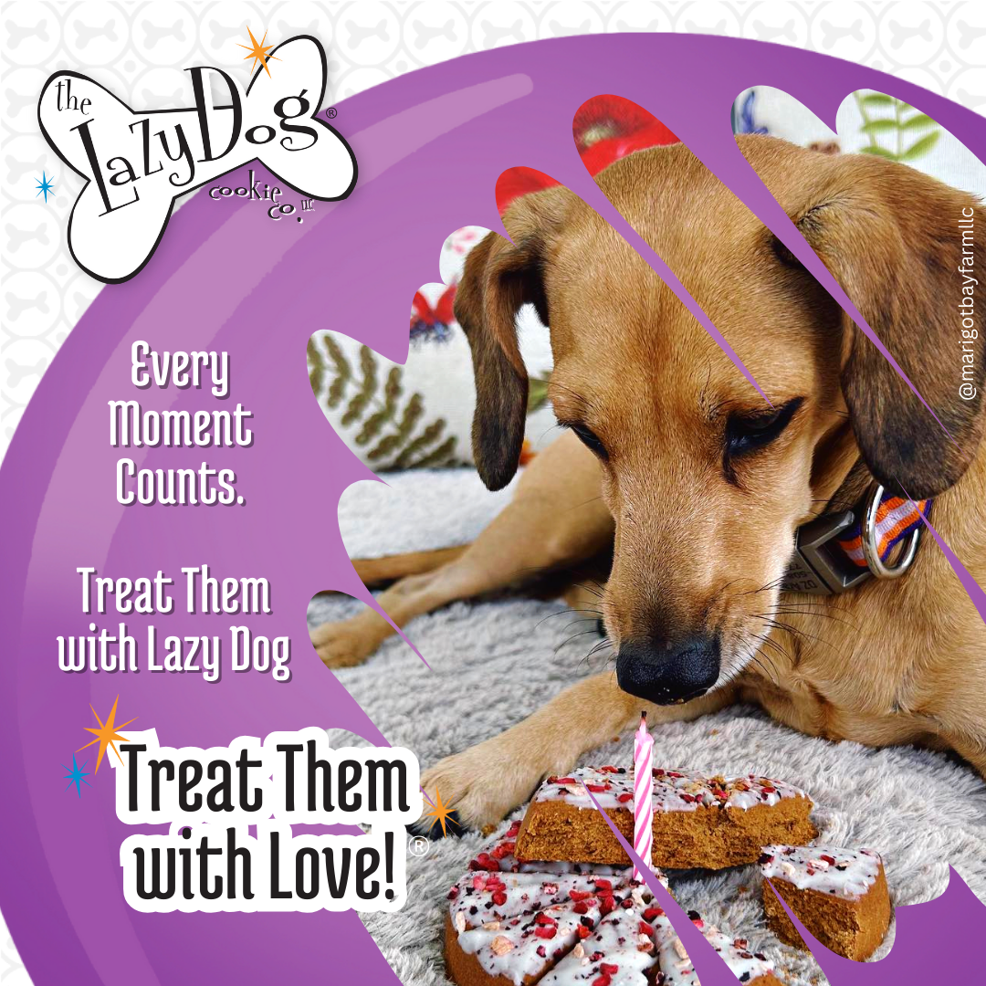 The Original Pup-PIE® Happy Birthday for a Special Dog Pie