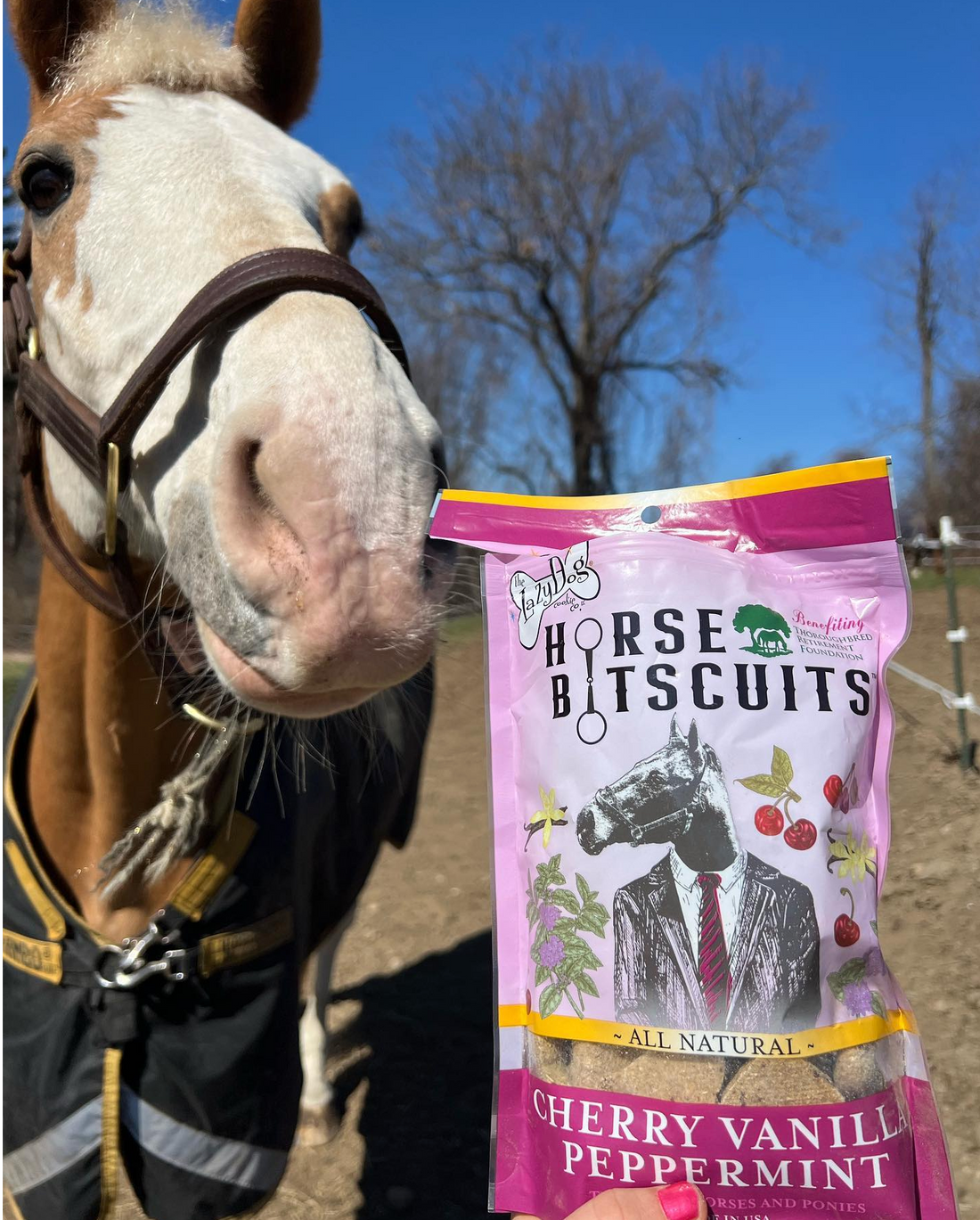 – Dog The Peppermint Cherry Bitscuits™ Cookie Vanilla Horse Lazy Co