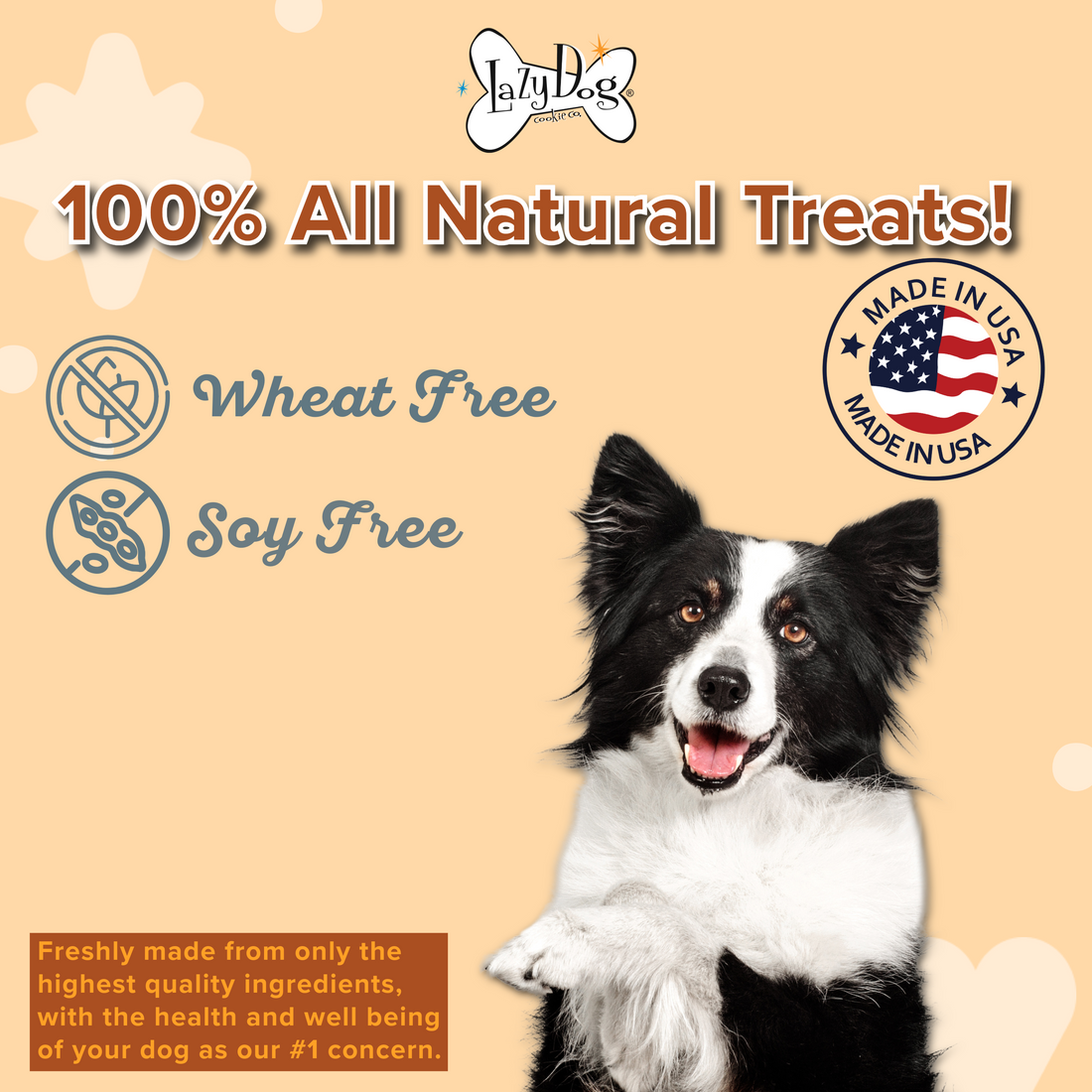 Mutt Mallows® My Little Pumpkins