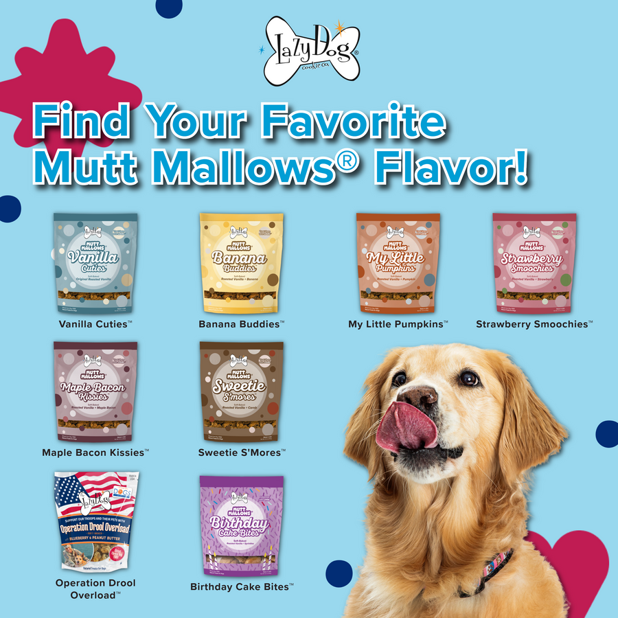 Mutt Mallows® Operation Drool Overload – The Lazy Dog Cookie Co