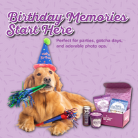 Celebrate with LOVE! Birthday Bundle