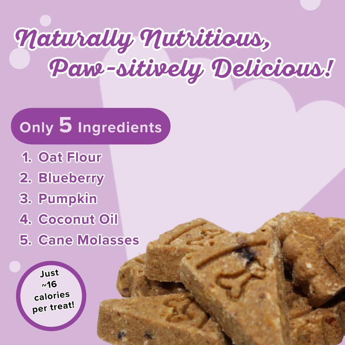 Molasses Crisped Blueberry Oat - Treat them with LOVE!®️