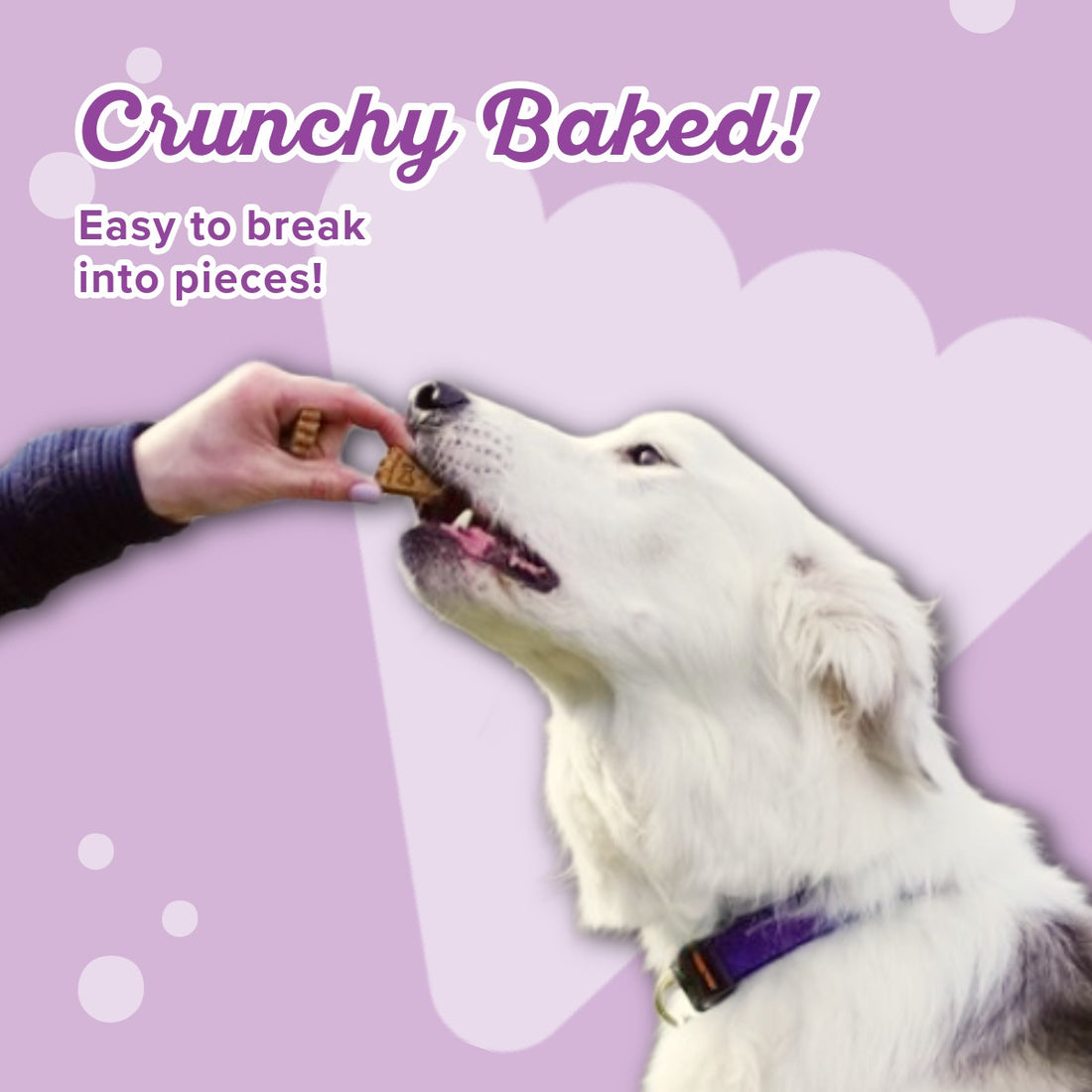 Molasses Crisped Blueberry Oat - Treat them with LOVE!®️