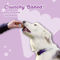 Molasses Crisped Blueberry Oat - Treat them with LOVE!®️