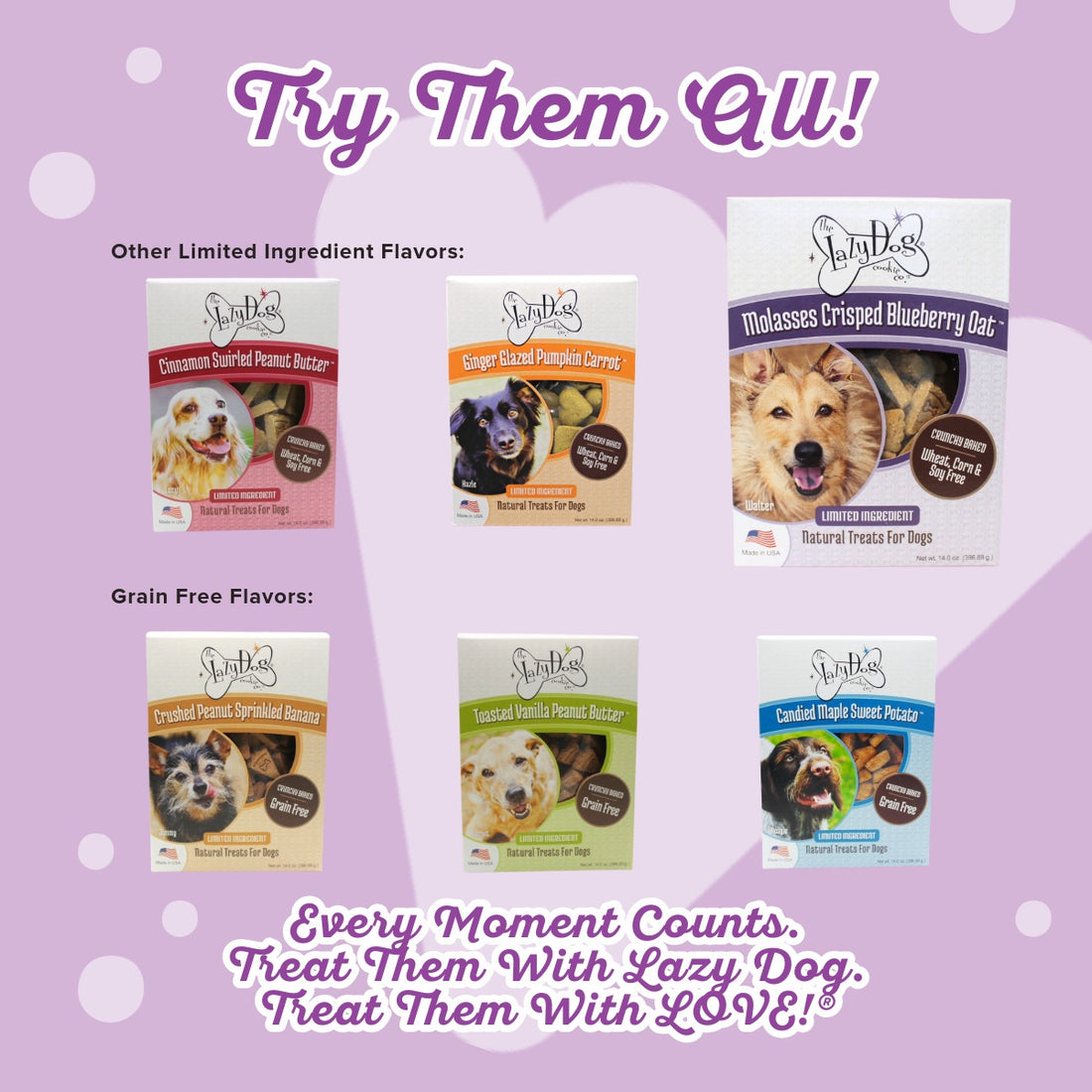 Molasses Crisped Blueberry Oat - Treat them with LOVE!®️