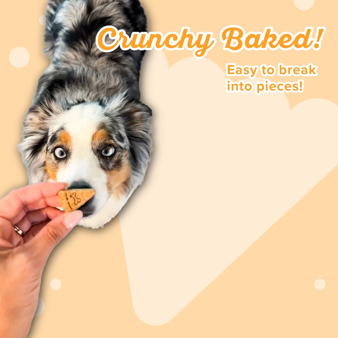 Ginger Glazed Pumpkin Carrot - Treat them with LOVE!®️