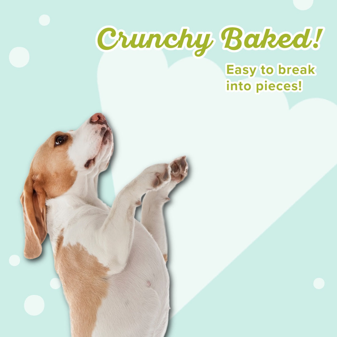 Toasted Vanilla Peanut Butter - Treat them with LOVE!®️