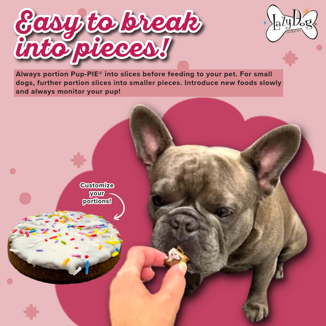 The Original Pup-PIE® Happy Birthday for a Darling Dog - Pie Shaped Treat for Dogs!