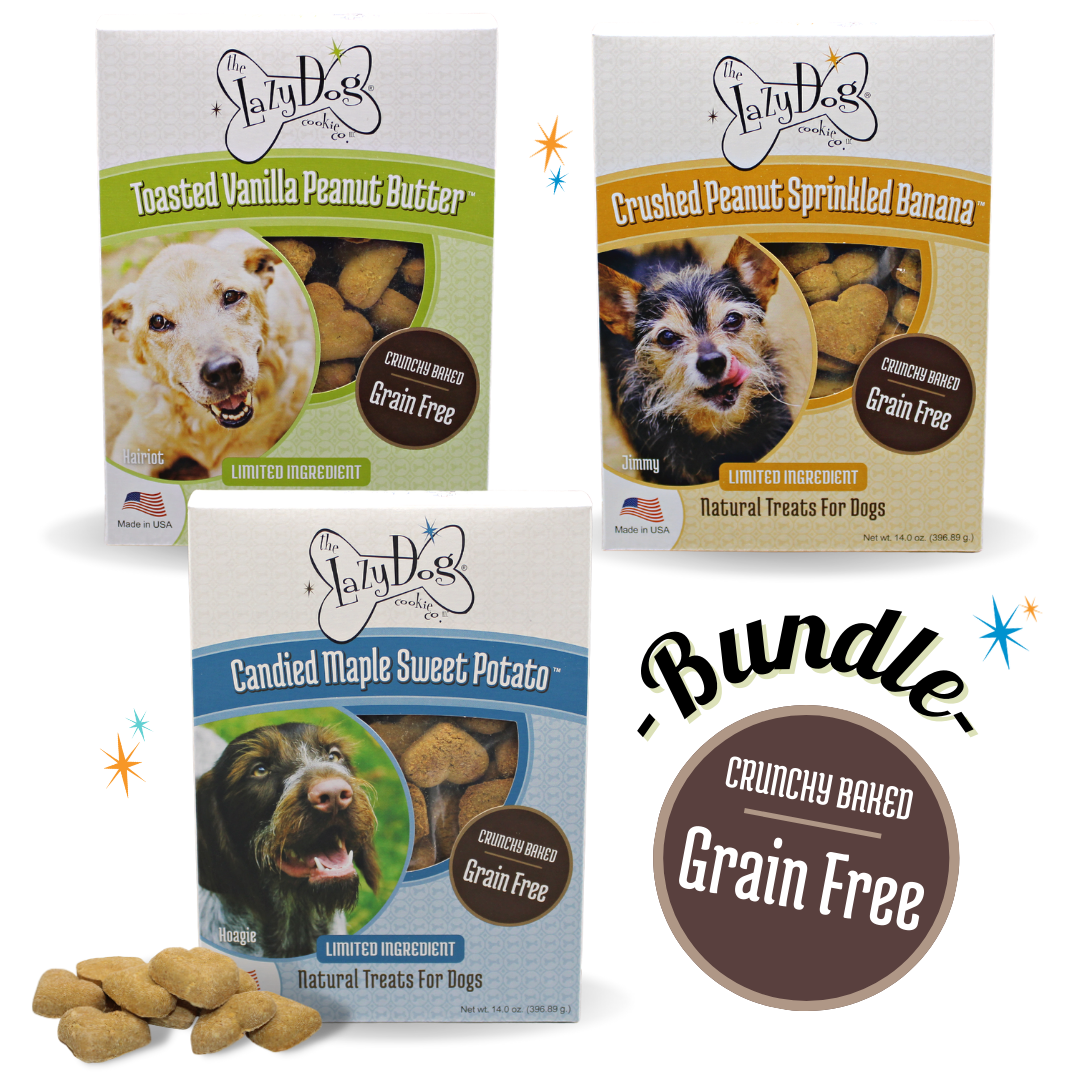 Dog grain hotsell free treats